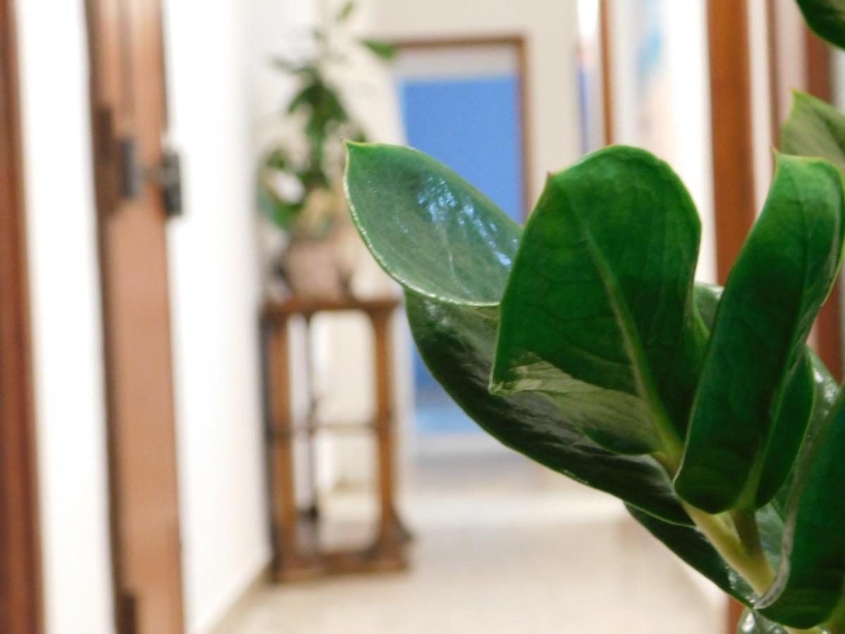 كاتانيا Frankie'S House B&B المظهر الخارجي الصورة