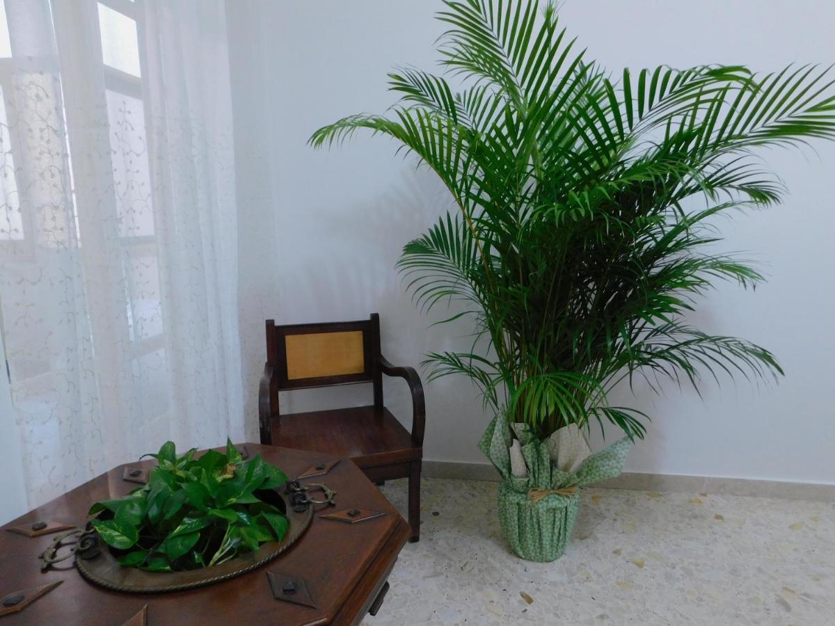 كاتانيا Frankie'S House B&B المظهر الخارجي الصورة